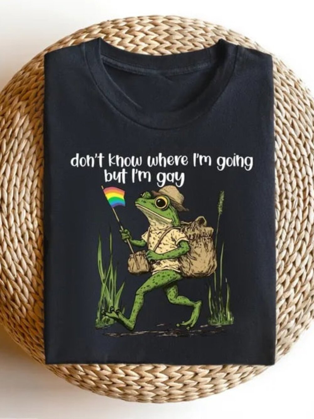 LGBTQ Shirt, Funny Frog Pride Tee, Pride Month Gift
